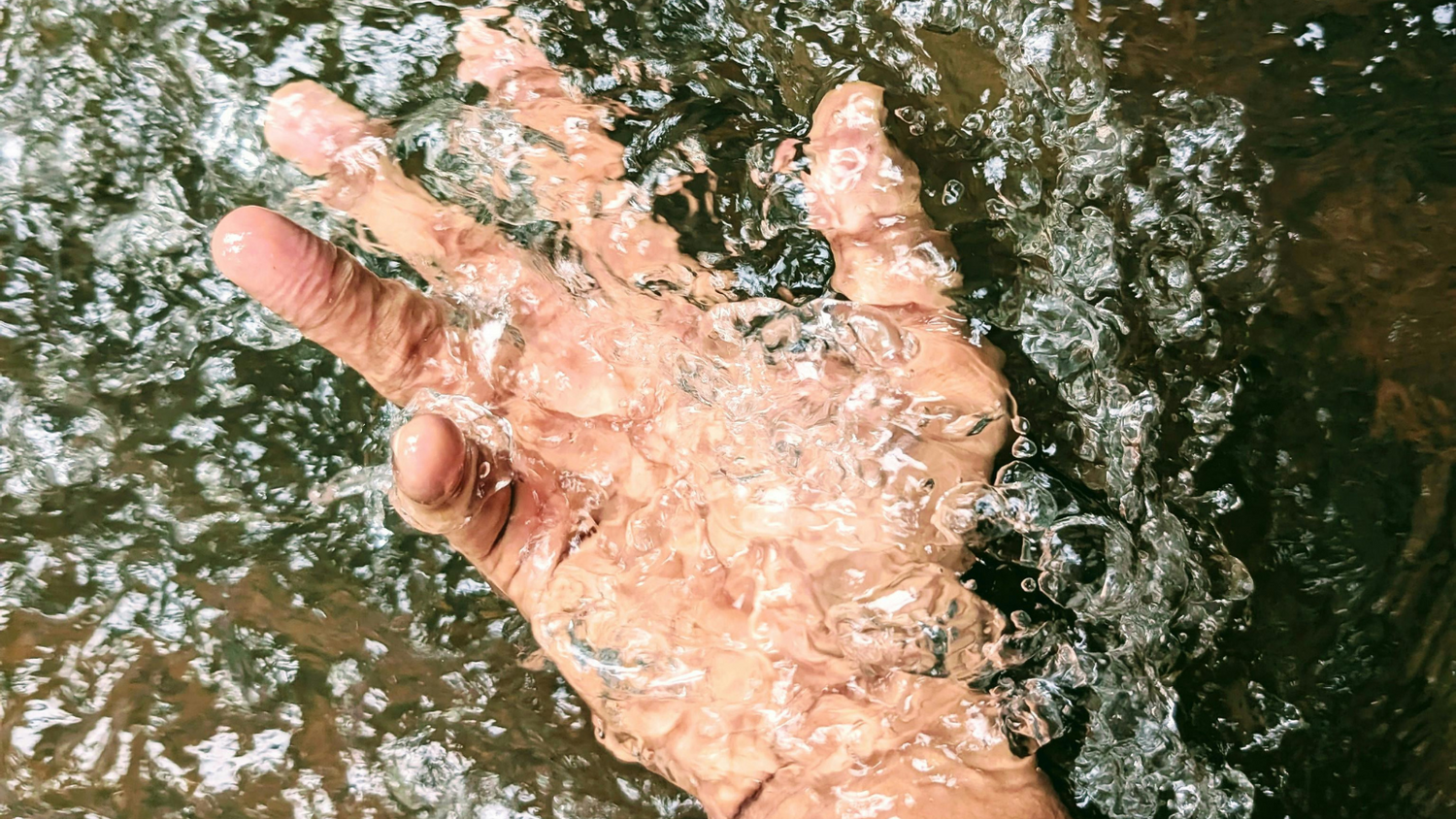 Studien-Check: Was bringt Omega-3 wirklich für dein Gehirn?