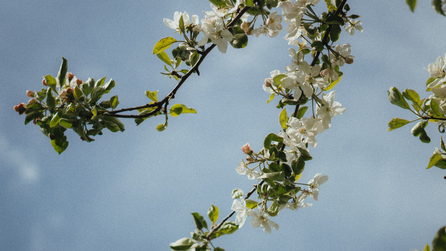 Der Frühling ist da! Das passiert jetzt mit Körper und Seele