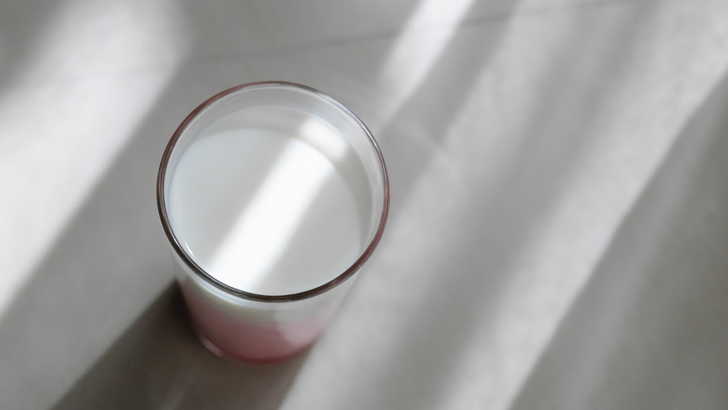 Probio… was? Die Bakterien fürs Leben