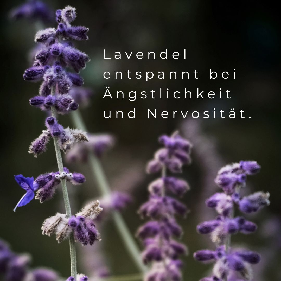 Loslassen